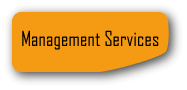 Management Services